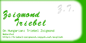 zsigmond triebel business card